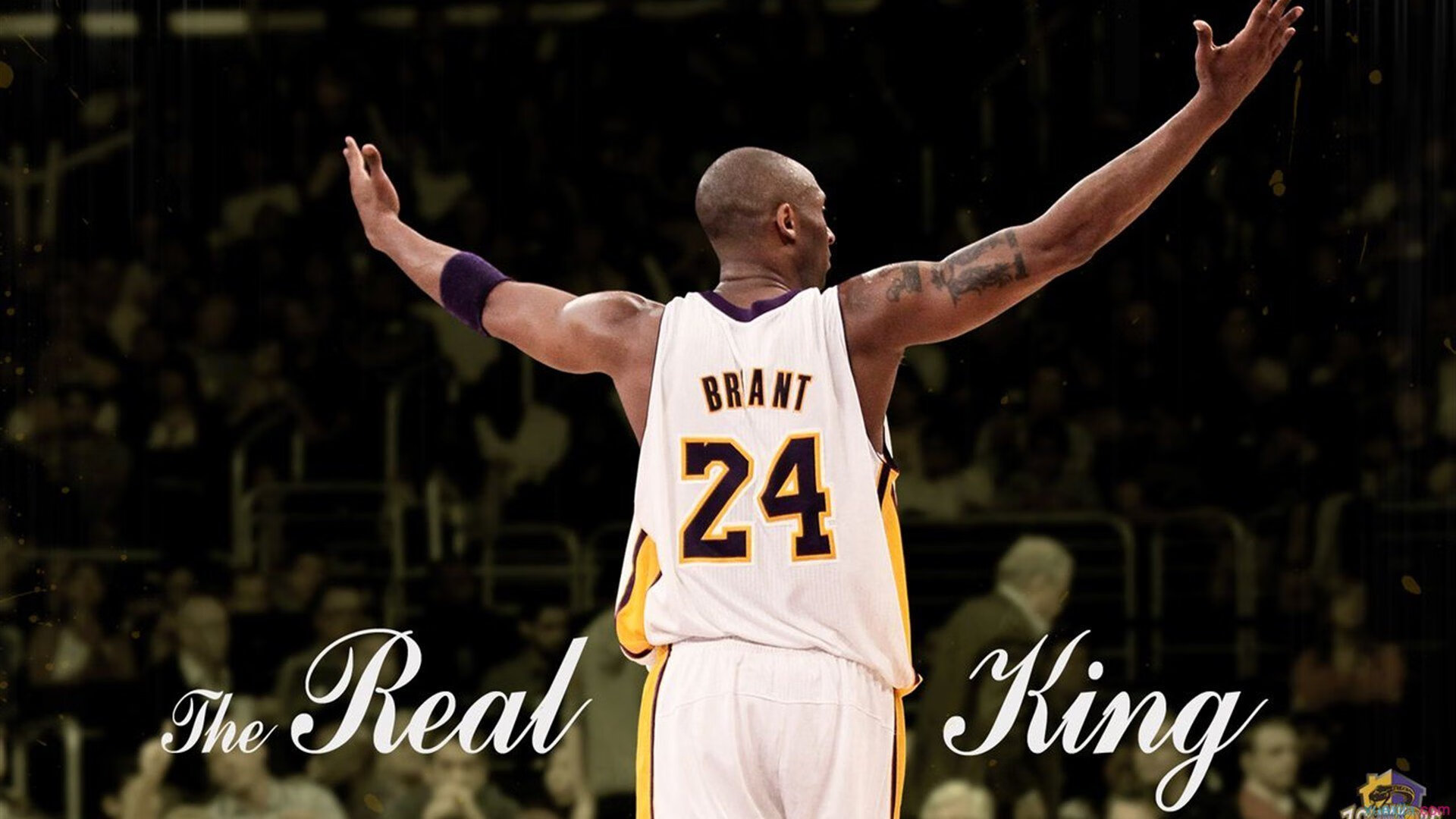 世界武术运动会中国传统武术再现风采，世界武术节目