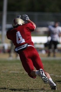 九游-全国青少年跳水锦标赛在深圳火热进行，全国青少年跳水比赛